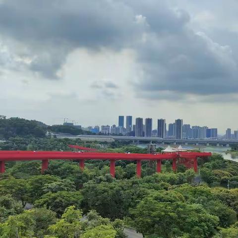 “所有的遗憾都会有个结局”随感