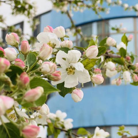 不负时光，温暖前行—伊金霍洛旗金湖幼儿园大班艾尚二班