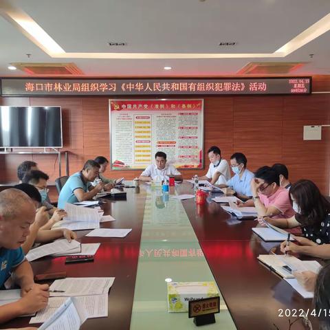 海口市林业局 集中组织学习《中华人民共和国反有组织犯罪法》