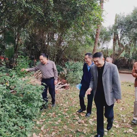 市林业局系统开展非法种植制毒 原植物踏查铲除专项行动工作