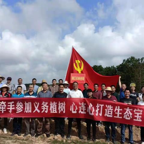 海口市林业局组织开展“同绘宝岛绿色生态画卷,共建中华民族四季花园”义务植树活动
