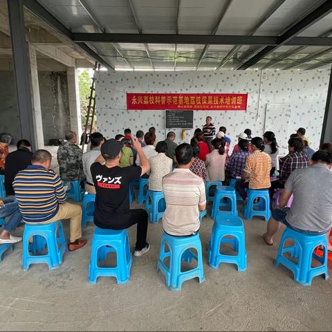 海口市科协举办荔枝保果技术培训班