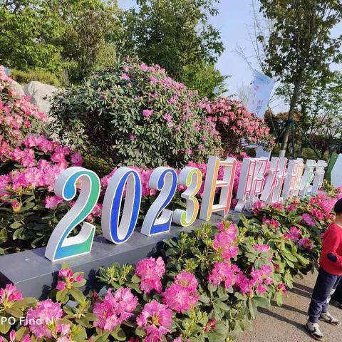 五一（日照）杜鹃花节畅游