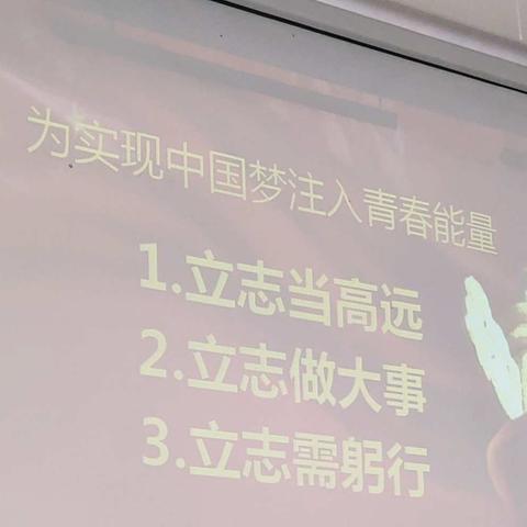 18小8学生，进行为中国梦注入青春能量实践活动授课