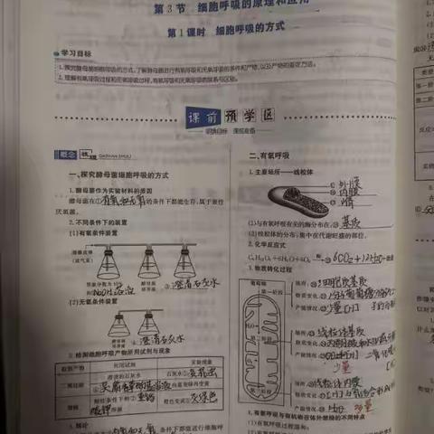 王一方今日先修任务