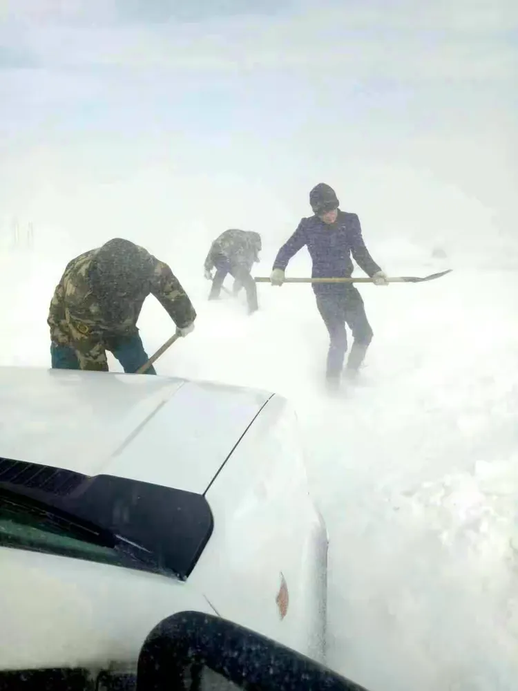 风雪无情人有情