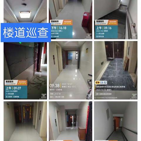 振望物业10月份工作月报