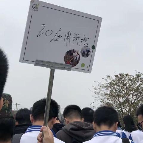 以劳为犁，深耕青春——劳动教育社会实践活动记