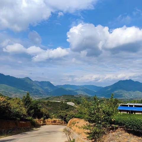 行走江湖（5）在三年游击地