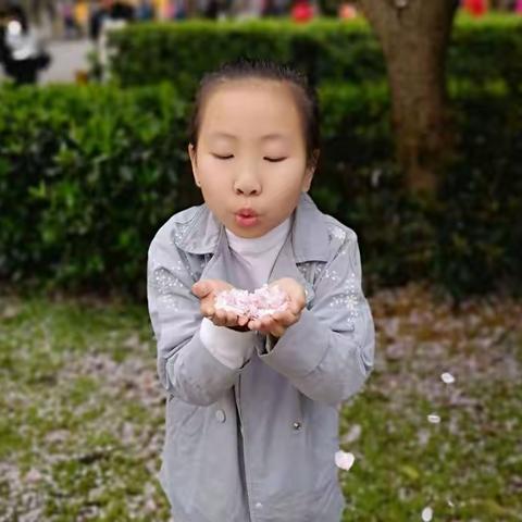 三月春光暖，去年赏樱记