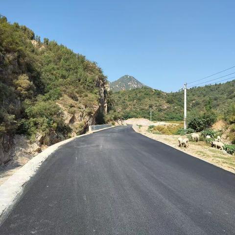 大力提升公路品质，积极助力乡村振兴