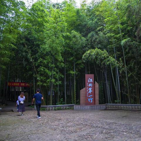 灵秀飘逸  • 伟岸挺拔