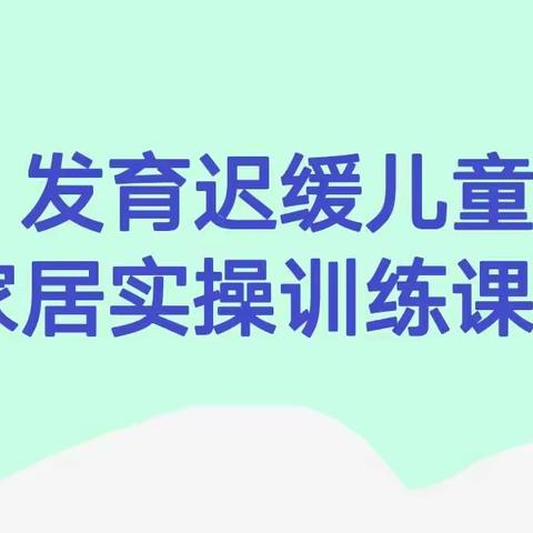 发育迟缓儿童家居实操训练课程