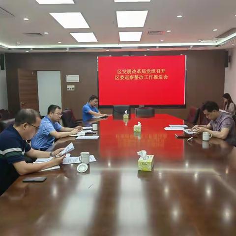 区发展改革局党组召开区委巡察整改工作推进会