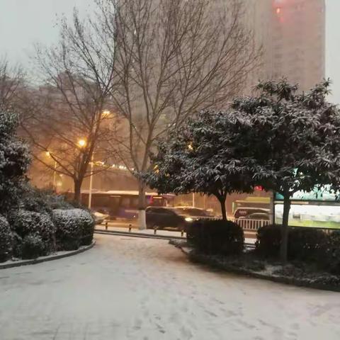 这样的雪天，我绝不撑伞