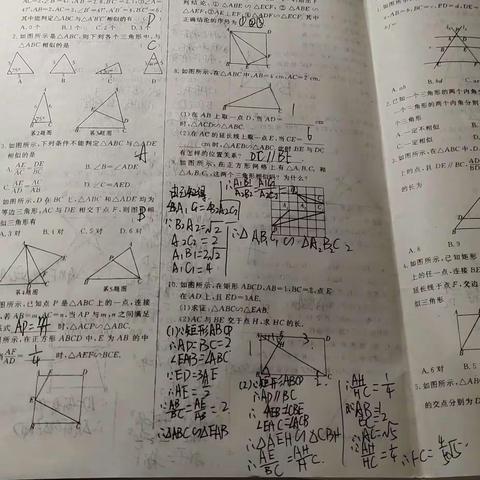 房思彤10.6作业情况