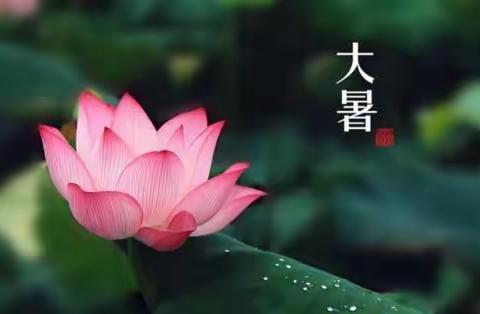 大暑艾灸养生