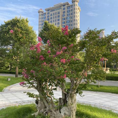锦绣花园 满园锦绣，（七）锦绣花园之，《孟秋篇》
