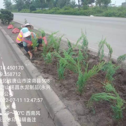 干线公路美化绿化提升