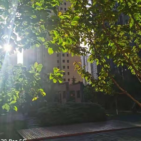 星月相伴 “疫”不容辞 服务社区核酸检测