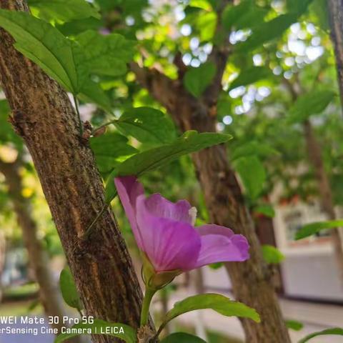 流水不争先 争的是滔滔不绝