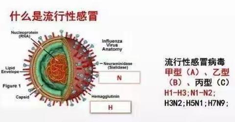 家园共育——流感来袭，如何防控