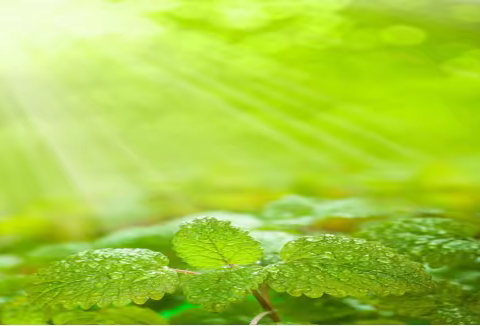 破冰行动，把阳光请进来！