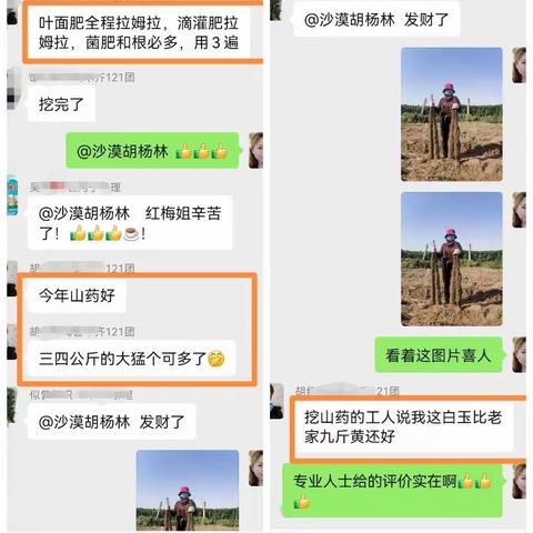 种植户之声——拉姆拉新疆