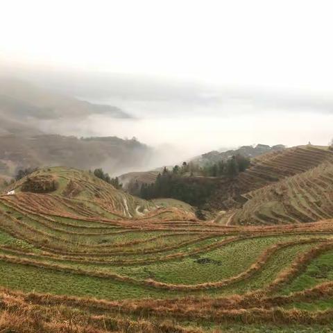 桂林山水——第三、四天