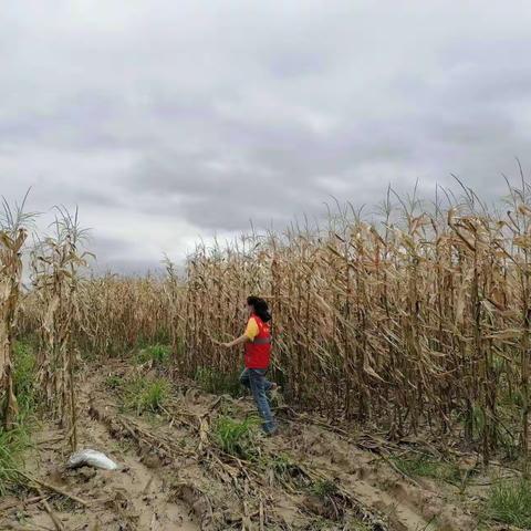 东方市网格员积极开展禁止焚烧秸秆宣传