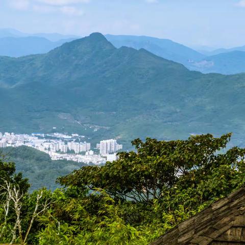 天然森林氧吧~三亚亚龙湾热带天堂森林公园