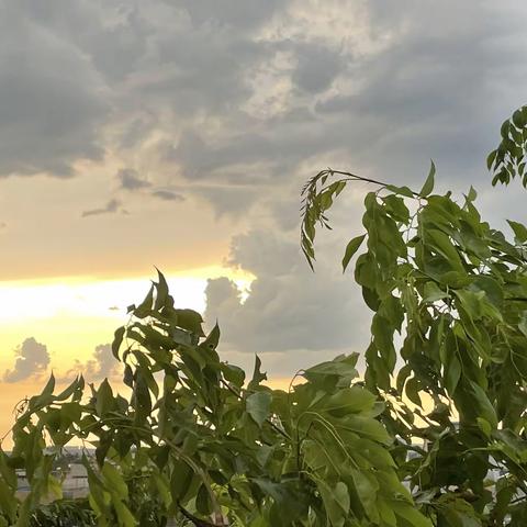 〔生活记事簿〕美景常在