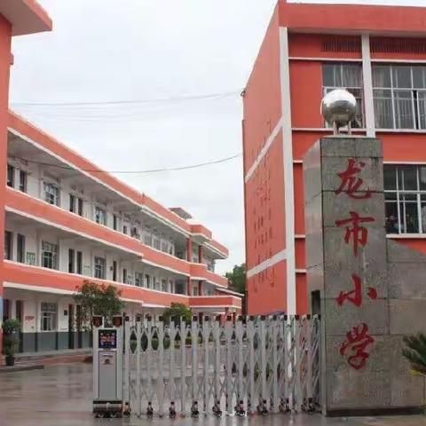 美丽龙小欢迎你——井冈山市龙市小学招聘代课老师公告