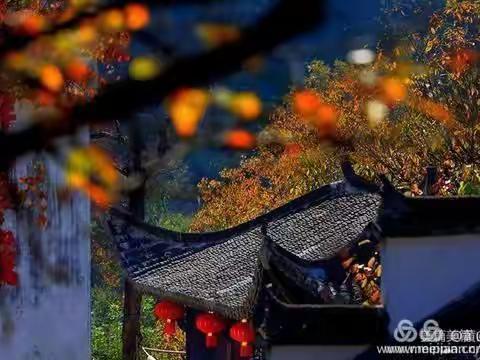 塔川，太平湖，赏秋之旅，特价两日游128一价全含(周末加10送太平湖全程导游讲解)