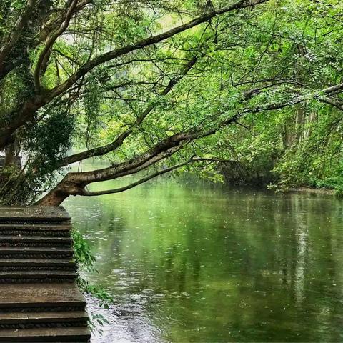 游千年古村西溪南——观蜀源向日葵花海，船游中国最美(正规景区）两日游