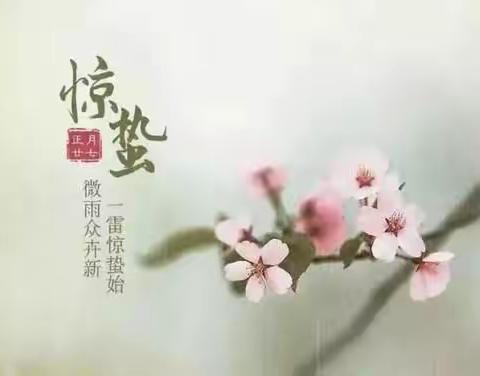 整合，向“悦读”更深处漫溯——夏细荣名师工作室“整本书阅读与本册教材整合路径与教法”研讨会