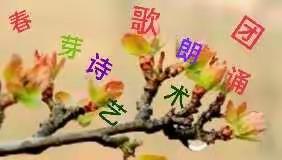 哈尔滨市春芽诗歌朗诵艺术团