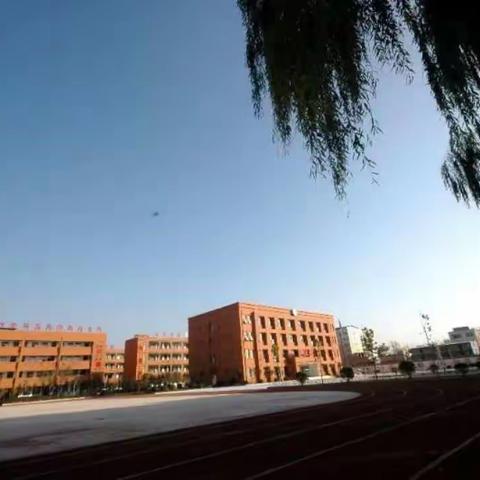 洛宁县城郊乡王协小学二三中队