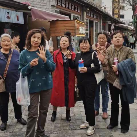 梅花万朵的美篇