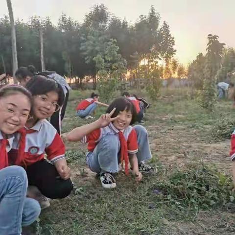 让劳动之美融入学生心灵—郑家寨镇中心小学五年级劳动课程