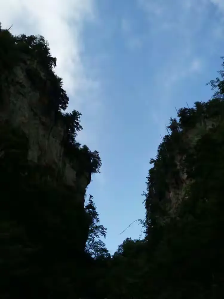 望峰息心,窥谷望返!