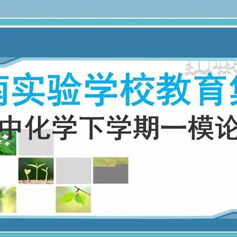 2021~2022学年第二学期华南实验集团化学一模专题论证会（存）