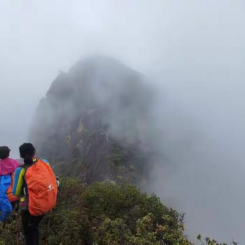 10.31～11.4衢州江山龙泉