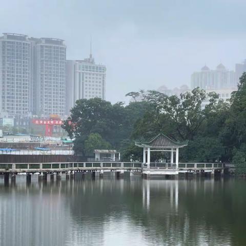 冬月初一雨中游天河公园