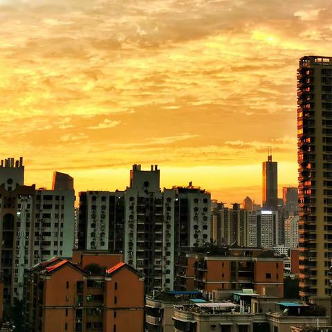 我拍房前风景