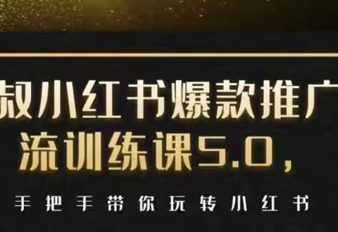 小红书爆款推广引流训练课5.0，手把手带你玩转小红书（17节实操视频+话术）