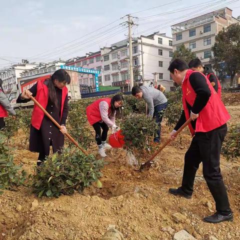 汤泉池管理处：一年之计在于春  植树造林正当时