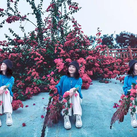 分享摄影记录:金秋青青河边草与三角梅,唯美风格清新!