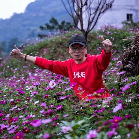 分享组片：立冬之韵，香山美丽格桑花我的最爱！
