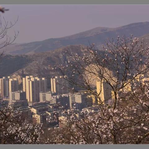 南岭花香来佐酒•龙城客雅又吟诗